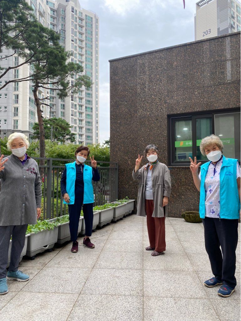 노인일자리 및 사회활동지원사업  꿈플래너 10월 활동모니터링