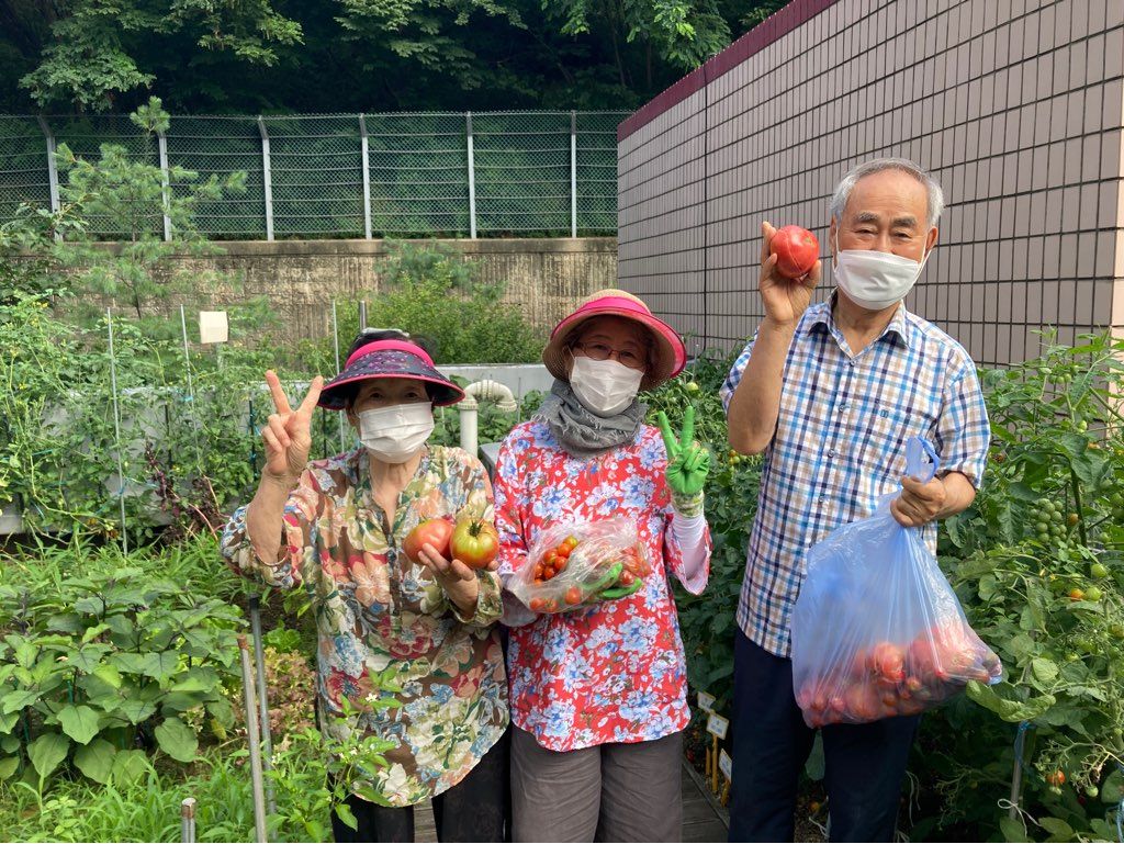 [노인일자리] 노인일자리 및 사회활동지원사업 꿈플래너 7월 현장모니터링