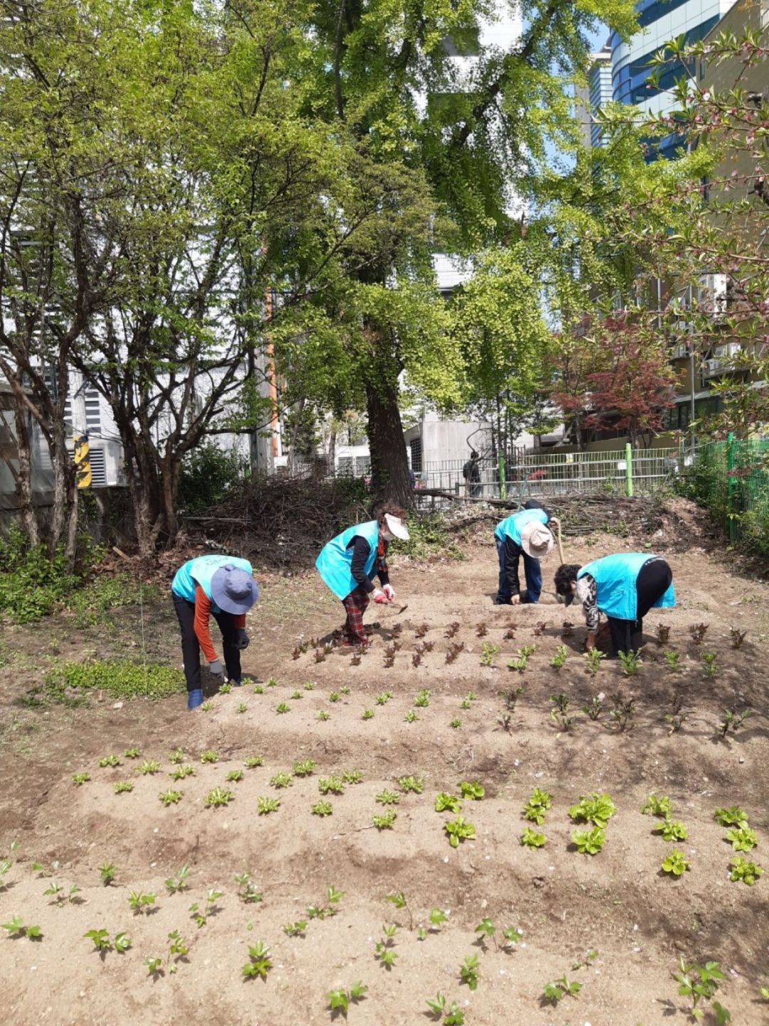 [노인일자리] 2021년 노인일자리 및 사회활동 지원사업 꿈플래너 참여자 4월 활동 모니터링