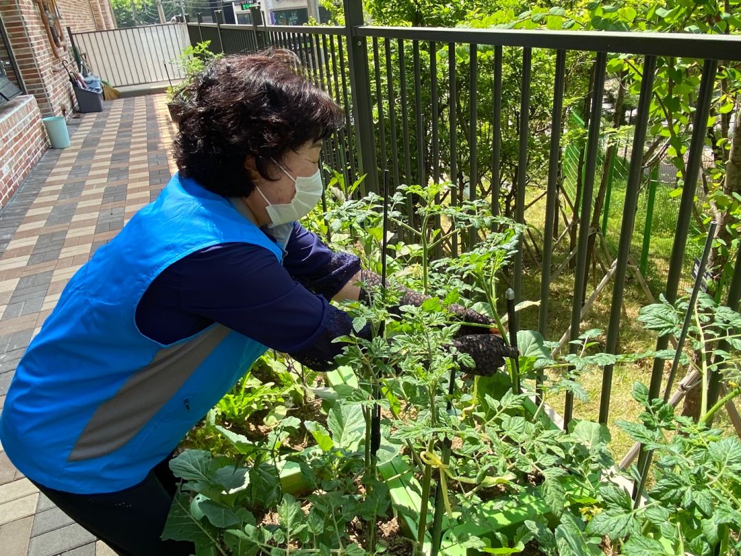 노인일자리 및 사회활동지원사업 꿈플래너 5월 현장모니터링 실시